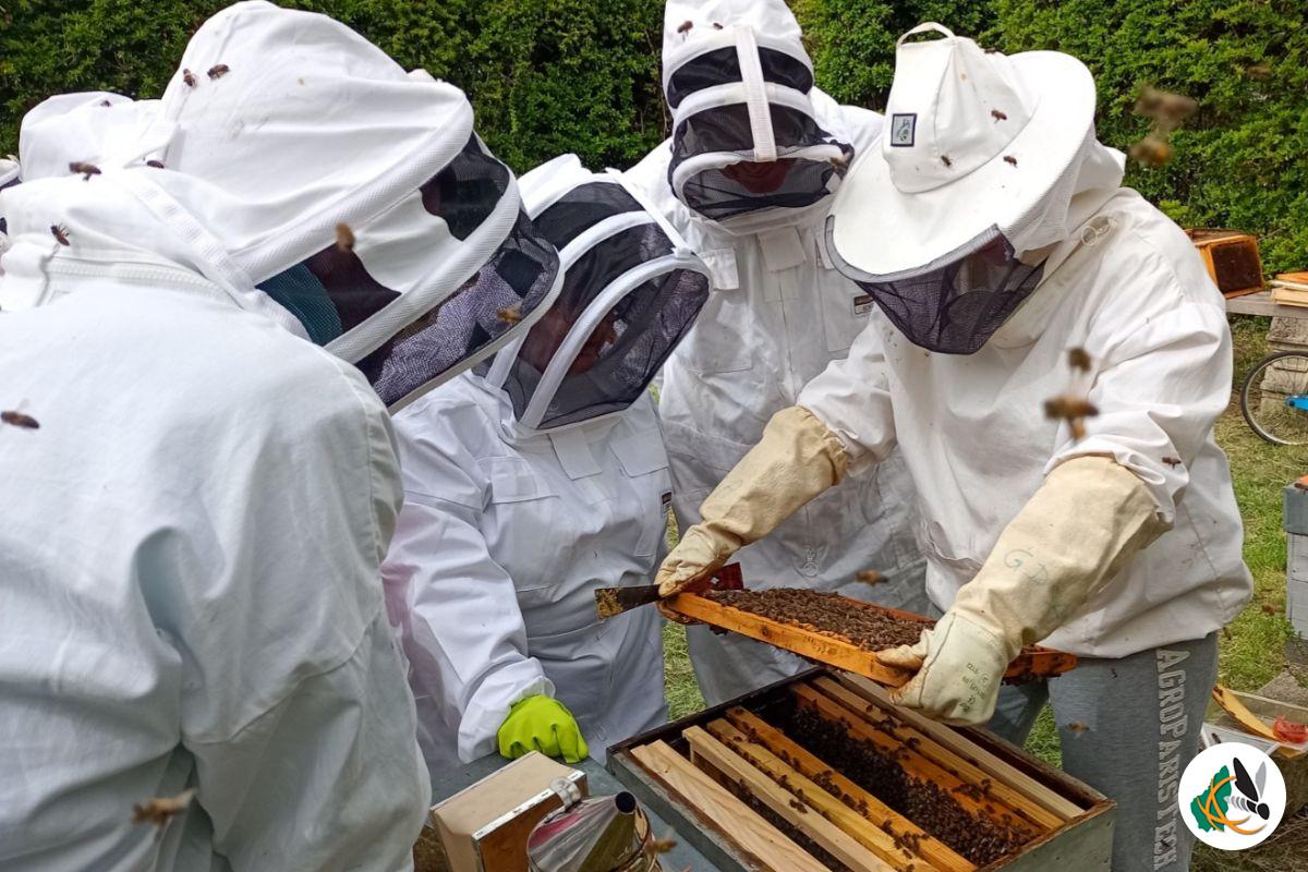 Formation apiculture en Ardèche
